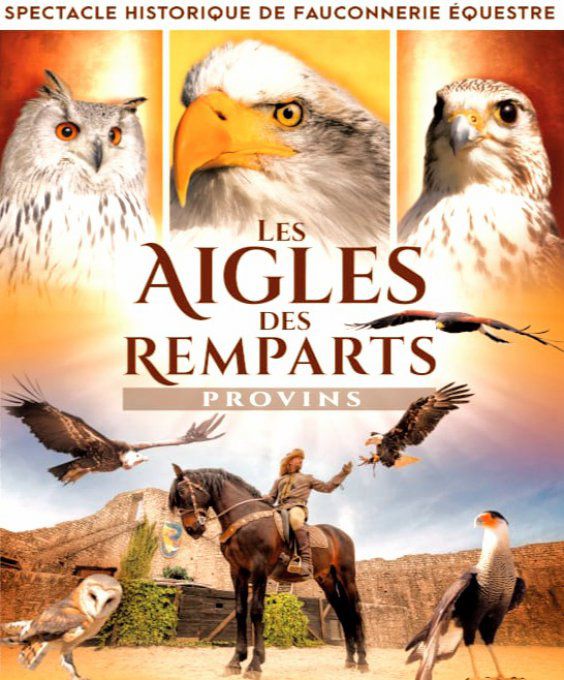 LES AIGLES DES REMPARTS - ENFANT