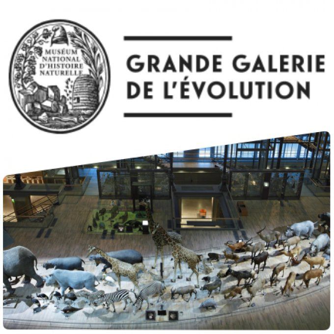 Grande Galerie De L évolution évènements à Venir GRANDE GALERIE DE L'EVOLUTION - Oxytimes