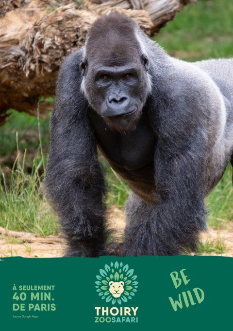 ZOO DE THOIRY - ENFANT*