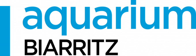 AQUARIUM DE BIARRITZ - JEUNE 