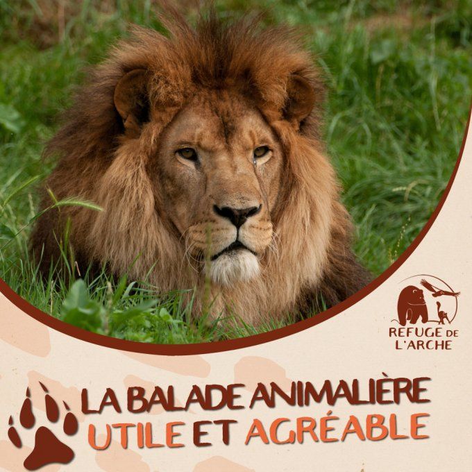 LE REFUGE DE L'ARCHE