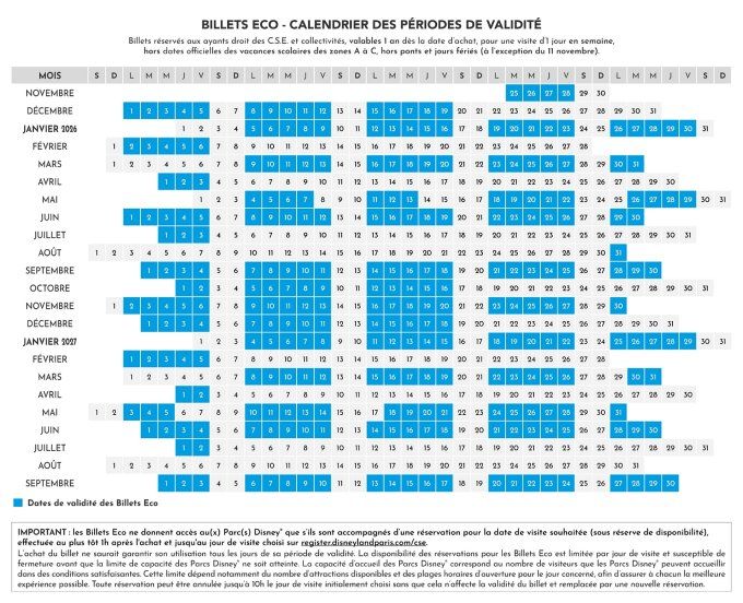 DISNEYLAND - BILLET ECO 1 JOUR / 1 PARC