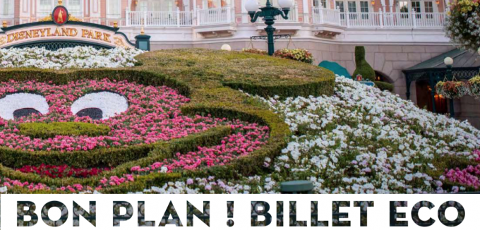 DISNEYLAND - BILLET ECO 1 JOUR / 2 PARCS