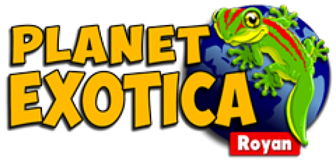 PLANET EXOTICA - Enfant