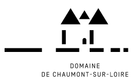 DOMAINE CHAUMONT S/LOIRE - Jeune