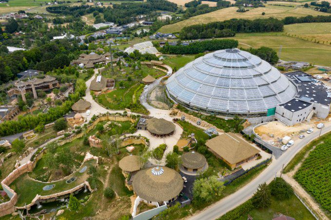 ZOOPARC DE BEAUVAL  Adulte dès 11 ans