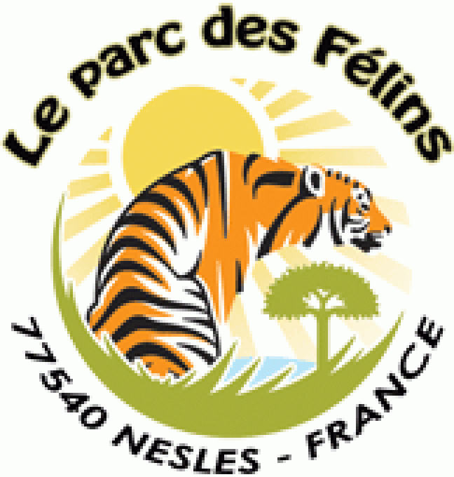 PARC DES FELINS - ADULTE