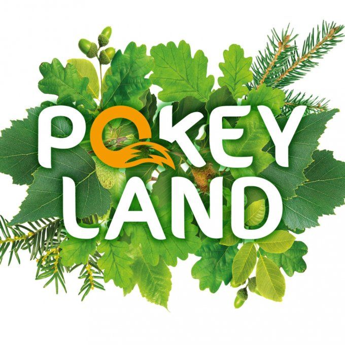 POKEYLAND 