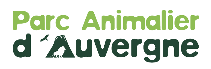 Parc animalier d'Auvergne Adulte